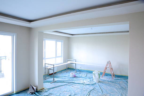 Best Drywall Sanding and Smoothing  in Davison, MI